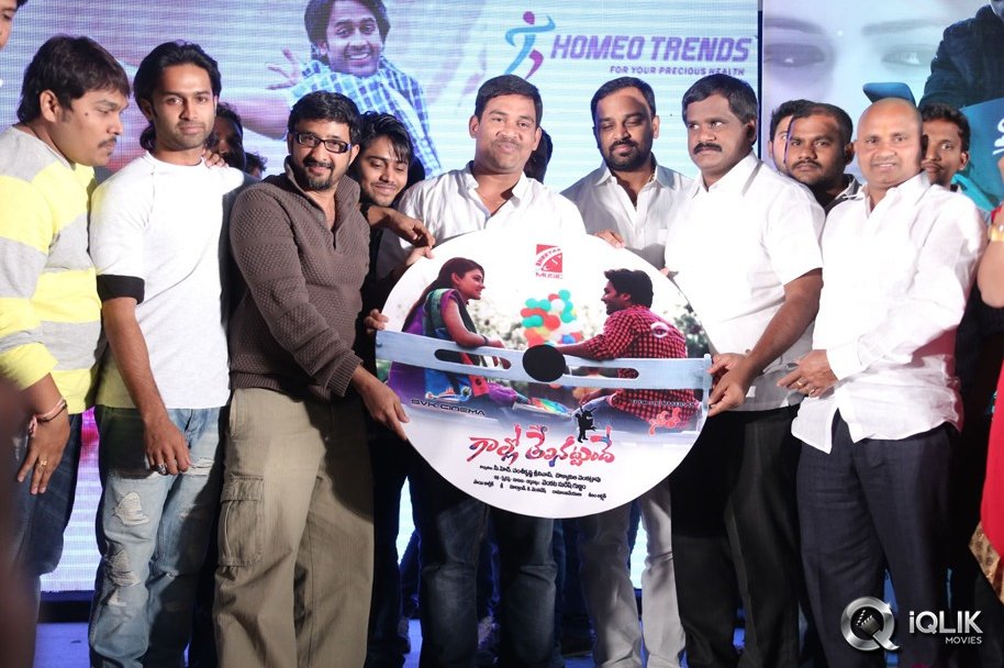Gallo-Telinattunde-Movie-Audio-Function